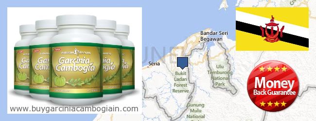 حيث لشراء Garcinia Cambogia Extract على الانترنت Brunei